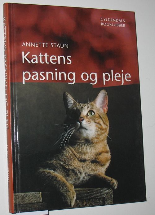 Kattens pasning og pleje af Annette Staun brugt