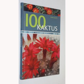 100 Kaktus