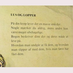 Lus og lopper