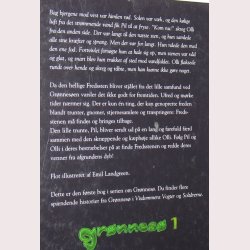 Grnnes 1 - den stjlne sten