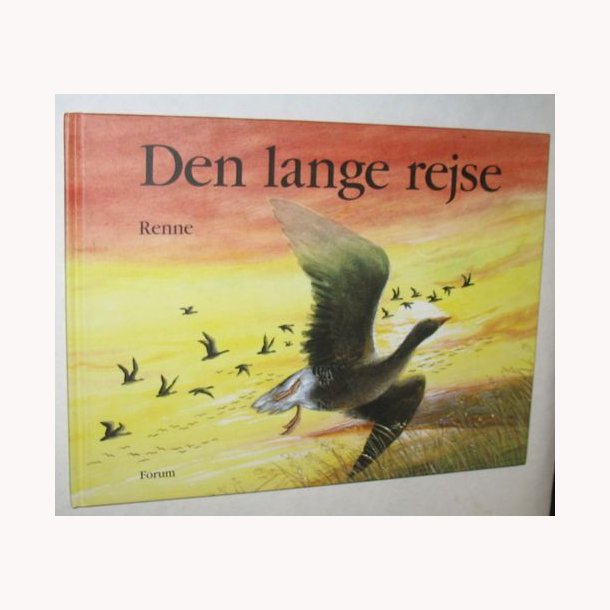 Den lange rejse