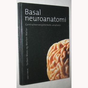 Basal neruroanatomi
