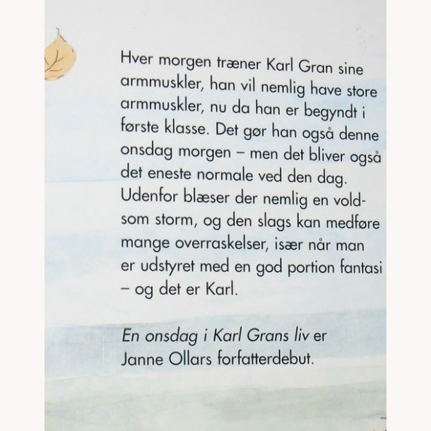 En onsdag i Karl Grans liv