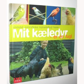 Mit kledyr er en fugl