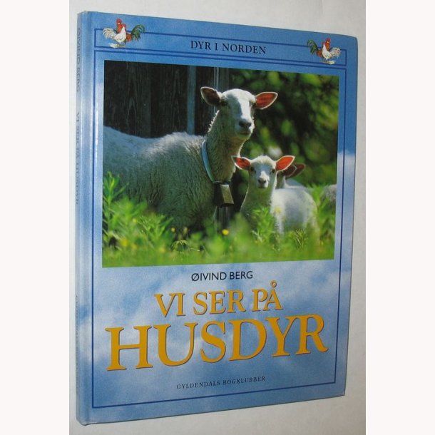 Vi ser p husdyr
