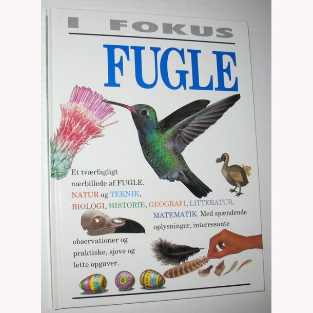 I Fokus - Fugle