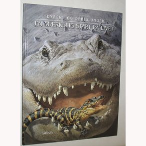 En mrkelig start p livet