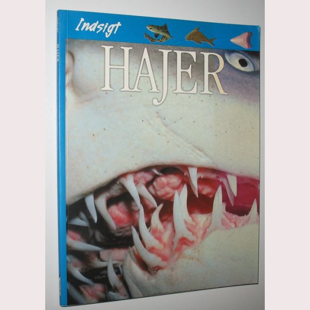 Indsigt Hajer