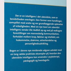 Ubevidst intelligens