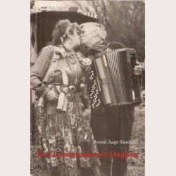 En gademusikants dagbog