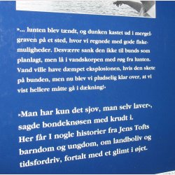 Lav selv dit krut - det gjorde jeg