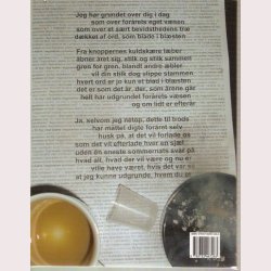 I begyndelsen skabte Gud en fejl i syntaken