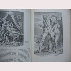 Krlighedslivet i kulturhistorien