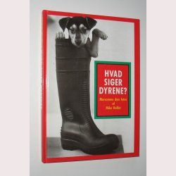 Hvad siger dyrene? Morsomme dyrefotos