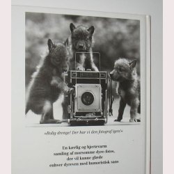 Hvad siger dyrene? Morsomme dyrefotos