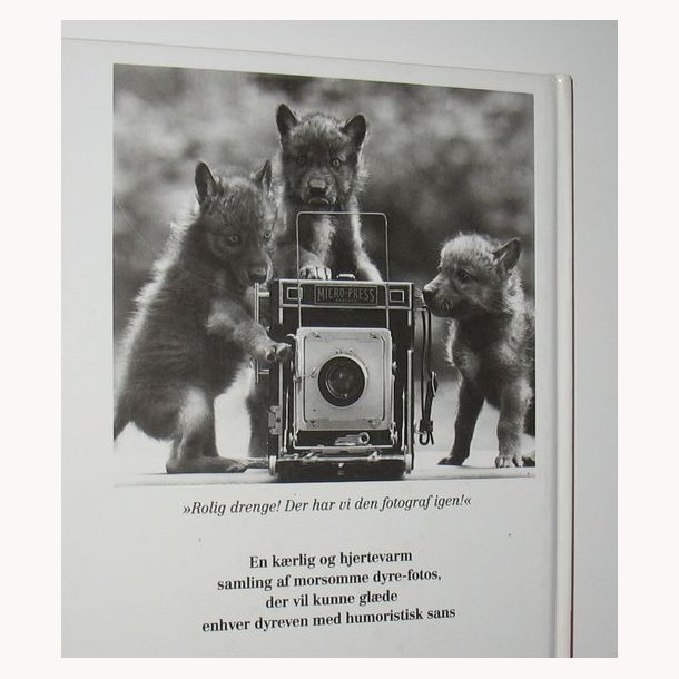 Hvad siger dyrene? Morsomme dyrefotos