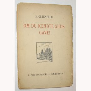 Om du kendte Guds gave!