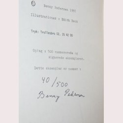 Den personlige stemme