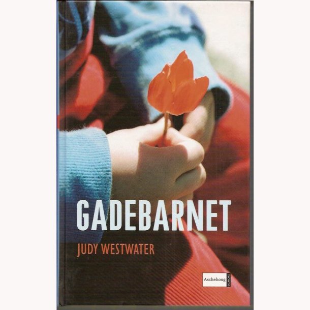 Gadebarnet - Virkelighedens verden