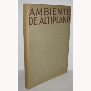Ambiente De Altiplano