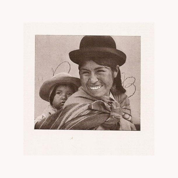 Ambiente De Altiplano