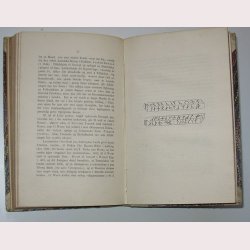 Arnamagnanske Haandskrifter - Codes Runicus