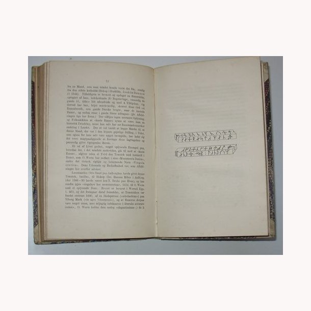 Arnamagnanske Haandskrifter - Codes Runicus