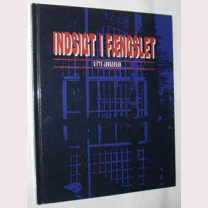 Indsigt i fngslet