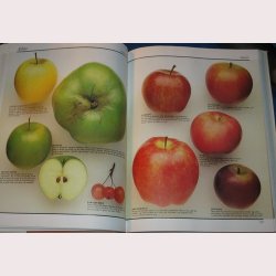 Lademanns Madvareleksikon