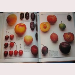 Lademanns Madvareleksikon