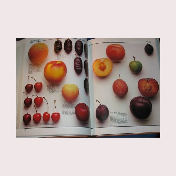 Lademanns Madvareleksikon