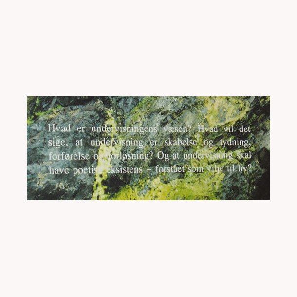 S selv en sten kan blomstre