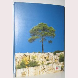 Provence - vinen, maden og landskabet