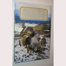 Lasting Flavours - Poultry