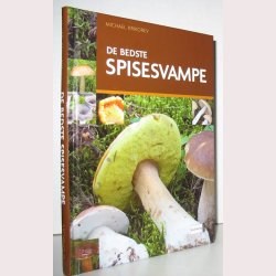 De bedste spisesvampe