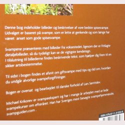 De bedste spisesvampe