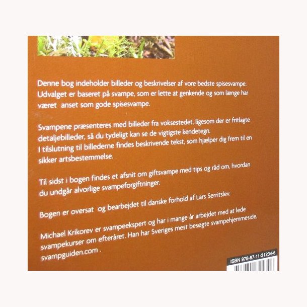 De bedste spisesvampe