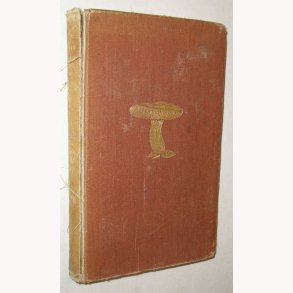 Mykologisk Ekskursionsflora