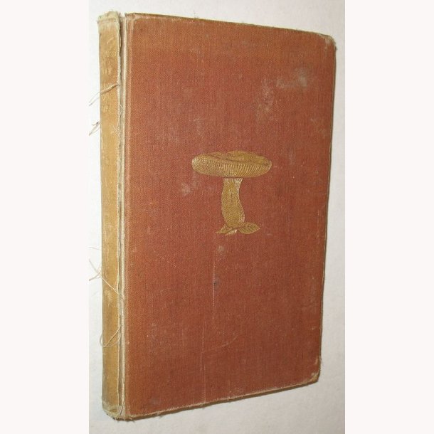 Mykologisk Ekskursionsflora