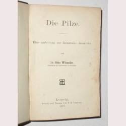 Die Pilze