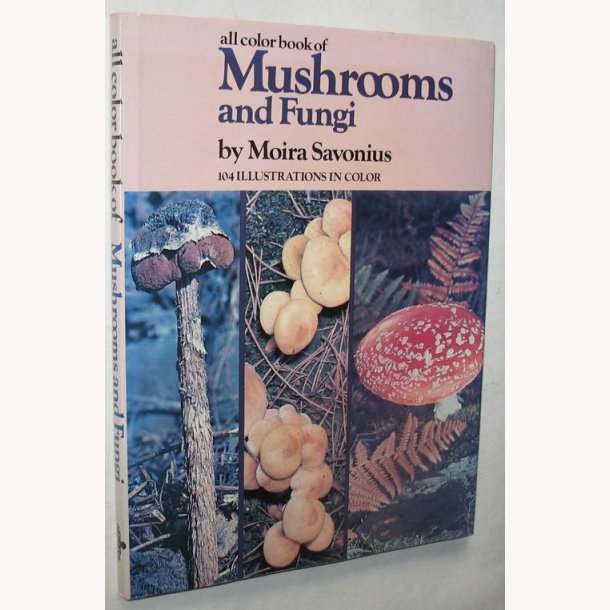 Mushrooms and Fungi