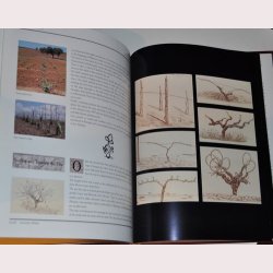 Encyclopedia of the Wines of Portugal