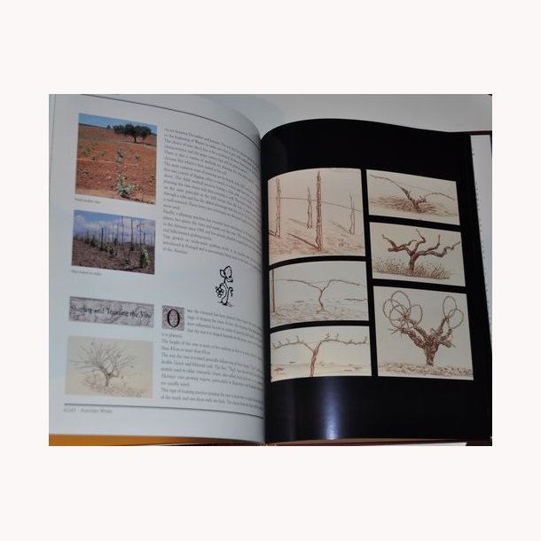 Encyclopedia of the Wines of Portugal