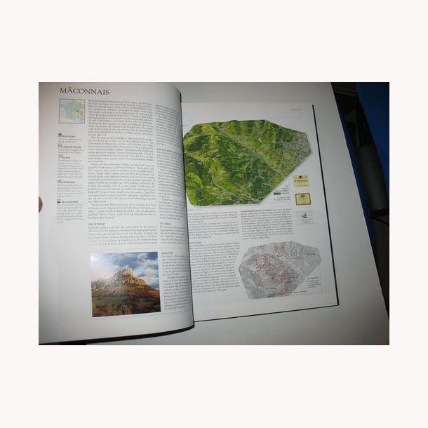 Politikens bog om vinens verden