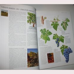 Politikens bog om vinens verden