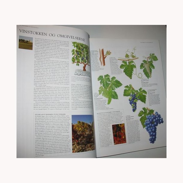 Politikens bog om vinens verden