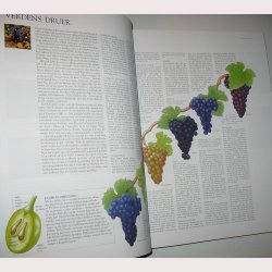 Politikens bog om vinens verden