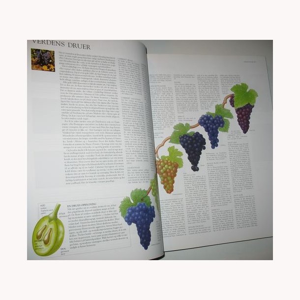 Politikens bog om vinens verden