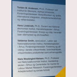 Beskrivende dansk konomi