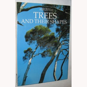 Trees And Their Shapes